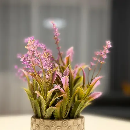 Apartment Bratislava Apartment