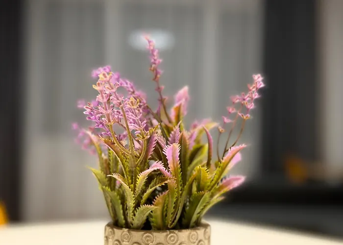 דירה Bratislava Apartment